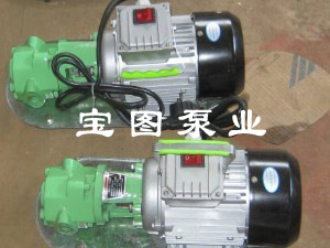 WCB微型手提式齒輪油泵